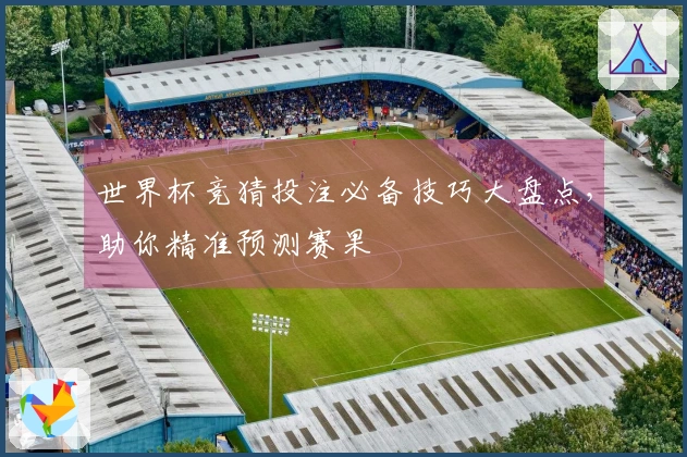 世界杯竞猜投注必备技巧大盘点，助你精准预测赛果