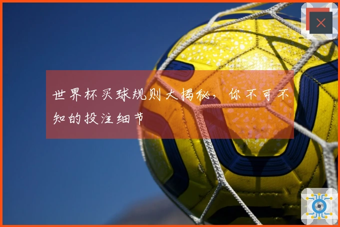 世界杯买球规则大揭秘，你不可不知的投注细节
