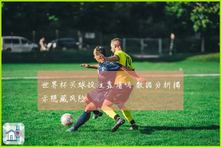 世界杯买球投注靠谱吗 数据分析揭示隐藏风险