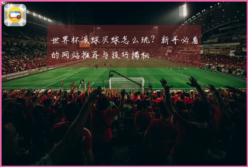 世界杯滚球买球怎么玩？新手必看的网站推荐与技巧揭秘