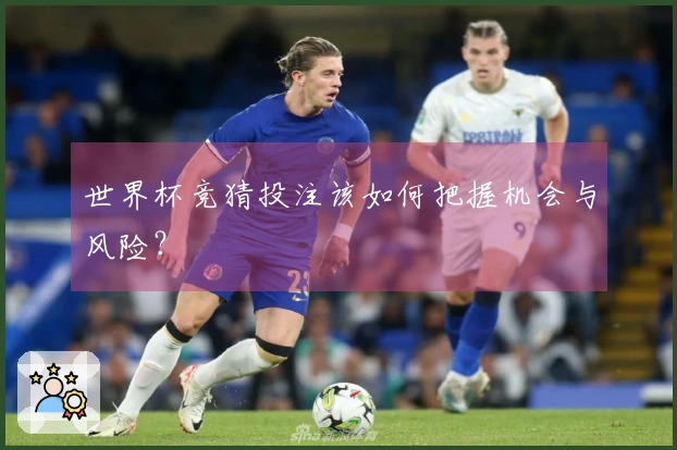 世界杯竞猜投注该如何把握机会与风险？
