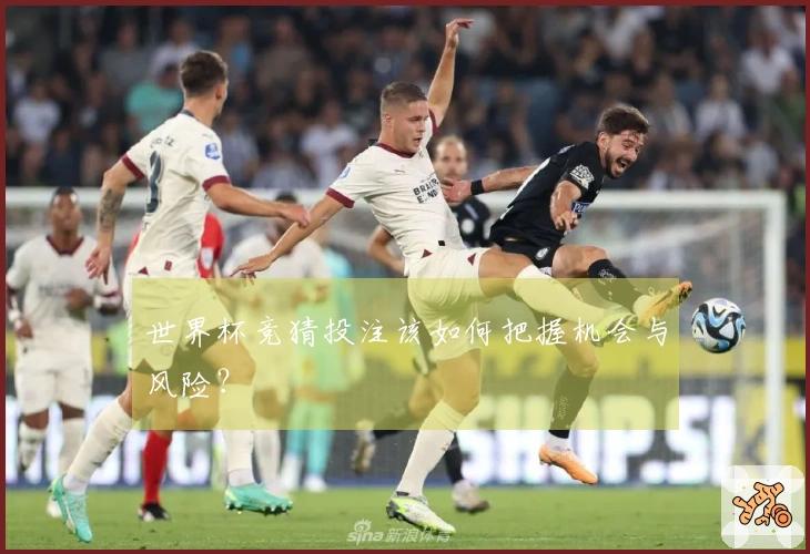 世界杯竞猜投注该如何把握机会与风险？