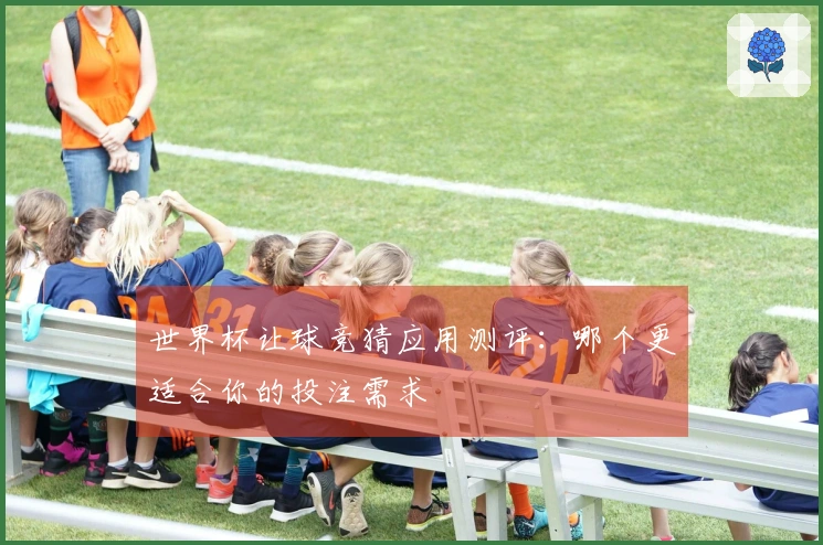 世界杯让球竞猜应用测评：哪个更适合你的投注需求