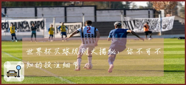 世界杯买球规则大揭秘，你不可不知的投注细节