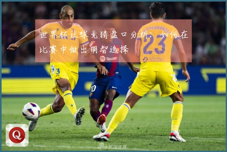 世界杯让球竞猜盘口分析：如何在比赛中做出明智选择