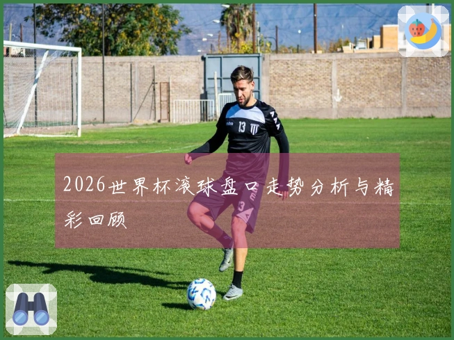 2026世界杯滚球盘口走势分析与精彩回顾
