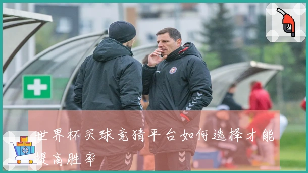 世界杯买球竞猜平台如何选择才能提高胜率