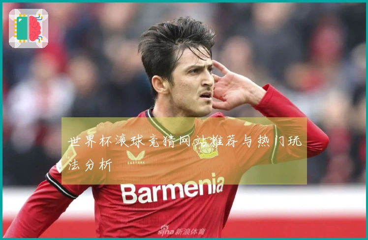 世界杯滚球竞猜网站推荐与热门玩法分析