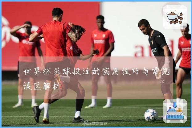 世界杯买球投注的实用技巧与常见误区解析