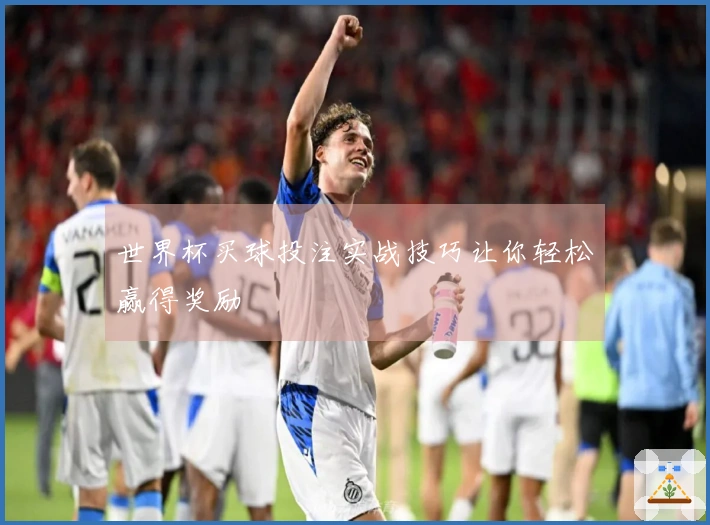 世界杯买球投注实战技巧让你轻松赢得奖励